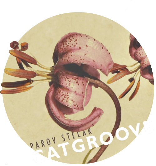 Catgroove Parov Stelar